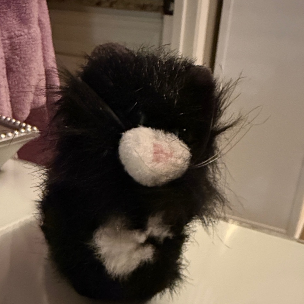 American Girl Black Licorice Cat